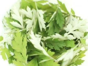 ����Ͱ�������Щ��Ч  ����Ͱ��ݵ�Ӫ����ֵ����