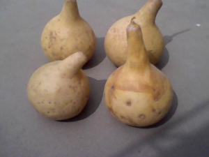 ��«�ǵĹ�Ч ��«������ˮ�׸�ˮ