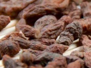 �˲ι��ɵĹ�Ч �˲ι�����ô��Ӫ����ֵ��