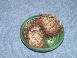 �����ݵĹ�Ч �������������Ѳ�