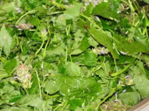 ޽��������Ӫ����ֵ ޽�����������Щ����