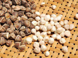 ��ľ������Щ��Ч ��ľ�ѿɰ��㽵Ѫ֬