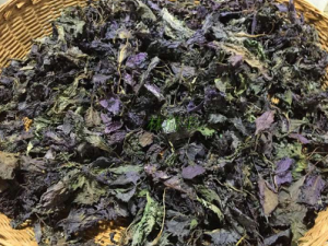 ����Ҷ�Ĺ�Ч ����Ҷ����������Ż��