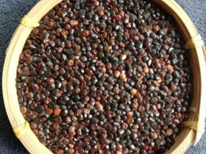 �ח��ӵĹ�Ч �ח��ӵ�ʳ�ý���