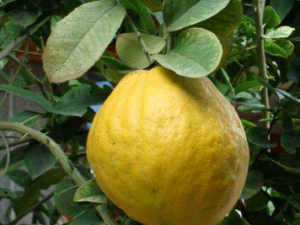 ���ڵĹ�Ч ������̵������