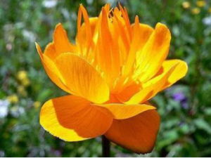 �������Ĺ�Ч���� ���������Ʒ��ȸ�ð