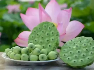 �ɻ������Ĺ�Ч �ɻ���������������