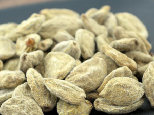 ���ҸɵĹ�Ч ���Ҹ�����֢�����