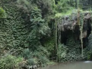 �׳�ź�Ĺ�Ч �׳�ź����Ѫɢ��