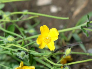 ��ҽ����������ȥ�߷���