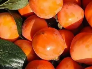 7���ճ�ʳ���㻹�ڳ��� 7���ճ�ʳ�ﾹ��ϸ���´�