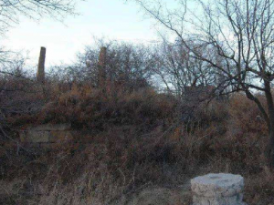 Ĺ��صĹ�Ч Ĺ��ؿɳ���ֹ��