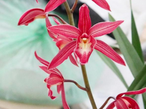 �ѻ����Ĺ�Ч �ѻ������������