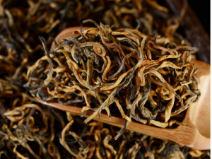 ����Ĺ�Ч �������ٶ�ȥа��ʬע����