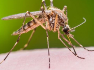 �ļ�Ҫ������Щ����