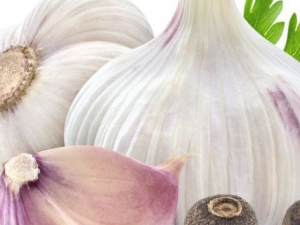 �ļ�����Ľ�������Щ �ļ��ʵ�����ĺô�