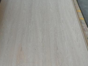 �ľƤ�Ĺ�Ч �ľƤ����ʳɬ��