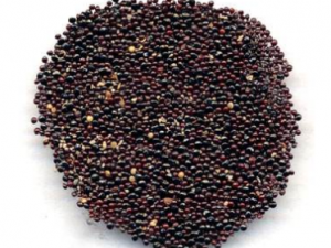 ū���ӵĹ�Ч ū������Ƣθ��ĥ