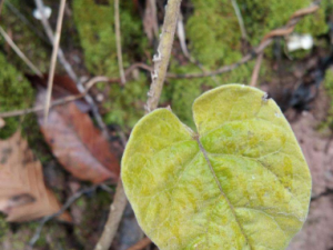 �̽��ٵĹ�Ч �̽�������ͨ��