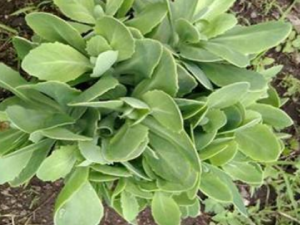 ϴ��Ҳ��ϴ���°�����֪����