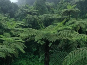 ����页Ĺ�Ч ���������ʪ�ؽ���ʹ