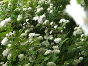 �̹ڲ�����Щ��Ч �̹ڲ����η�ʪ��ʹ