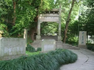 ��ҩ��Ĺ�Ч ��ҩ���η���Ч