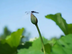 ��ʵ�Ĺ�Ч ��ʵ���κ���