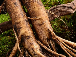 ��½���Ĺ�Ч ��½������ˮ��