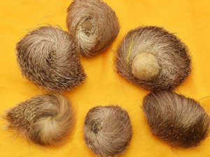 ������Ĺ�Ч ���������ٶ���