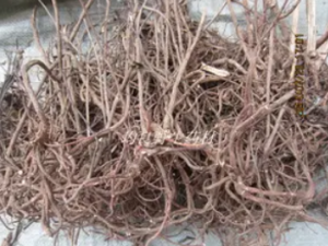 ���ɢ�Ĺ�Ч ���ɢ��С����