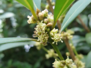 ��Ƥ���Ĺ�Ч ��Ƥ�����ڷ�ʪ�Թؽ���