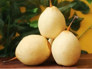 ���ӵ�ʳ�ý��� �����Ӻ�ˮ�׸�к