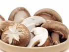 香菇的食用禁忌 香菇不能哪些东西一起吃