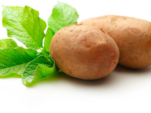 ������ѿΪ�β��ܳ�