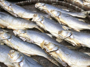 4�ֳ���ʳ�����°���֪����