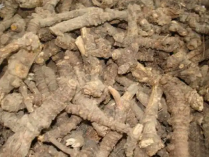 ��Ǽ��Ĺ�Ч ��Ǽ�����纮��ð