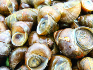 5��ʳ�ﰵ�ؼ�������֪����