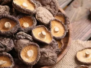 ���������ѡ�㹽�� ʲô�����㹽������