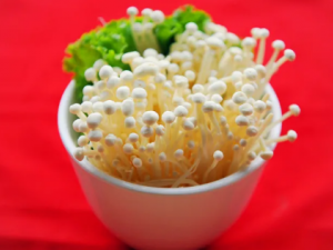 ������빽ǧ���ܳ� ������빽�����ж�