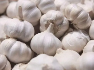 ����Ҳ�ܰ������� ��������ݹ�Ч