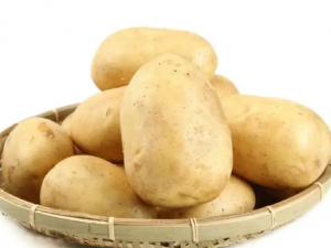 ��������ѿ��ô�� �Ÿ�ƻ���ɼ���������ѿ