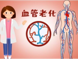 ��ֹѪ���ϻ���ץס��˥�ϵĹؼ�����