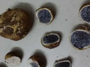 ������Ĺ�Ч ������������