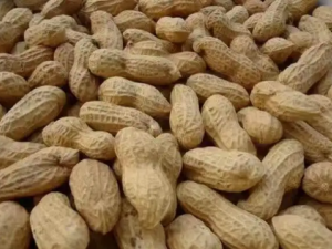 �������˲��˳Ի�����֪����