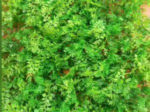 ����ݵĹ�Ч �������������������