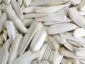 �׹�������Щ��Ч �׹��ӵ�ҩ������