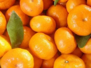 ���������ʲô�� С���Ƽ�һЩ���������ˮ��