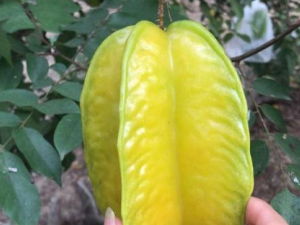 �����ҵĺô� ���Ҷ�����Щ��Ч