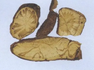 ����ƵĹ�Ч ��������ε�������